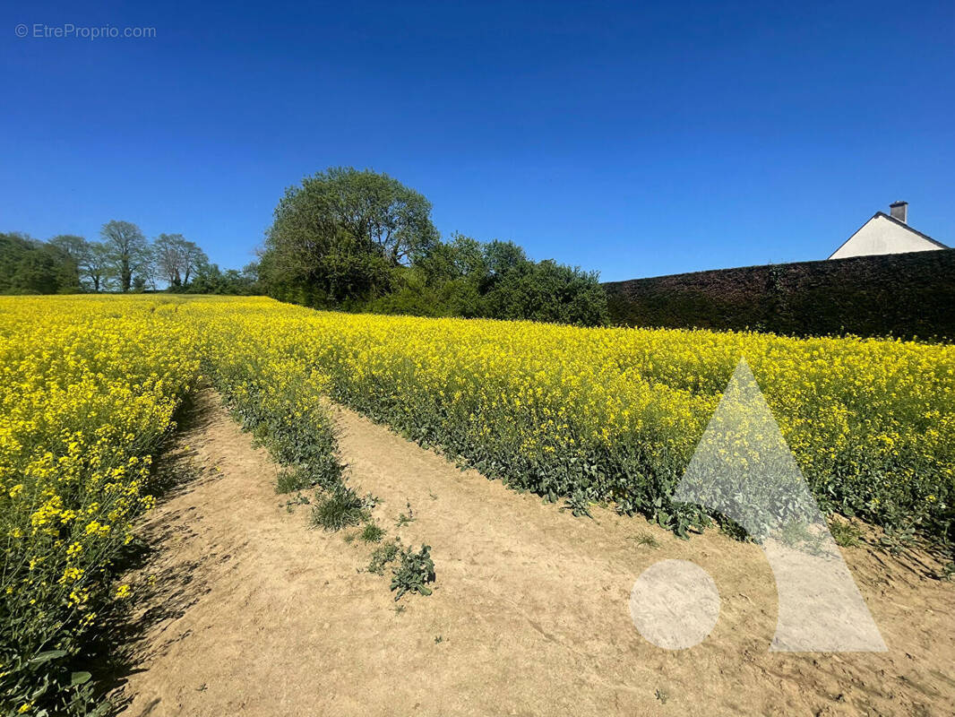 Terrain à GILOCOURT