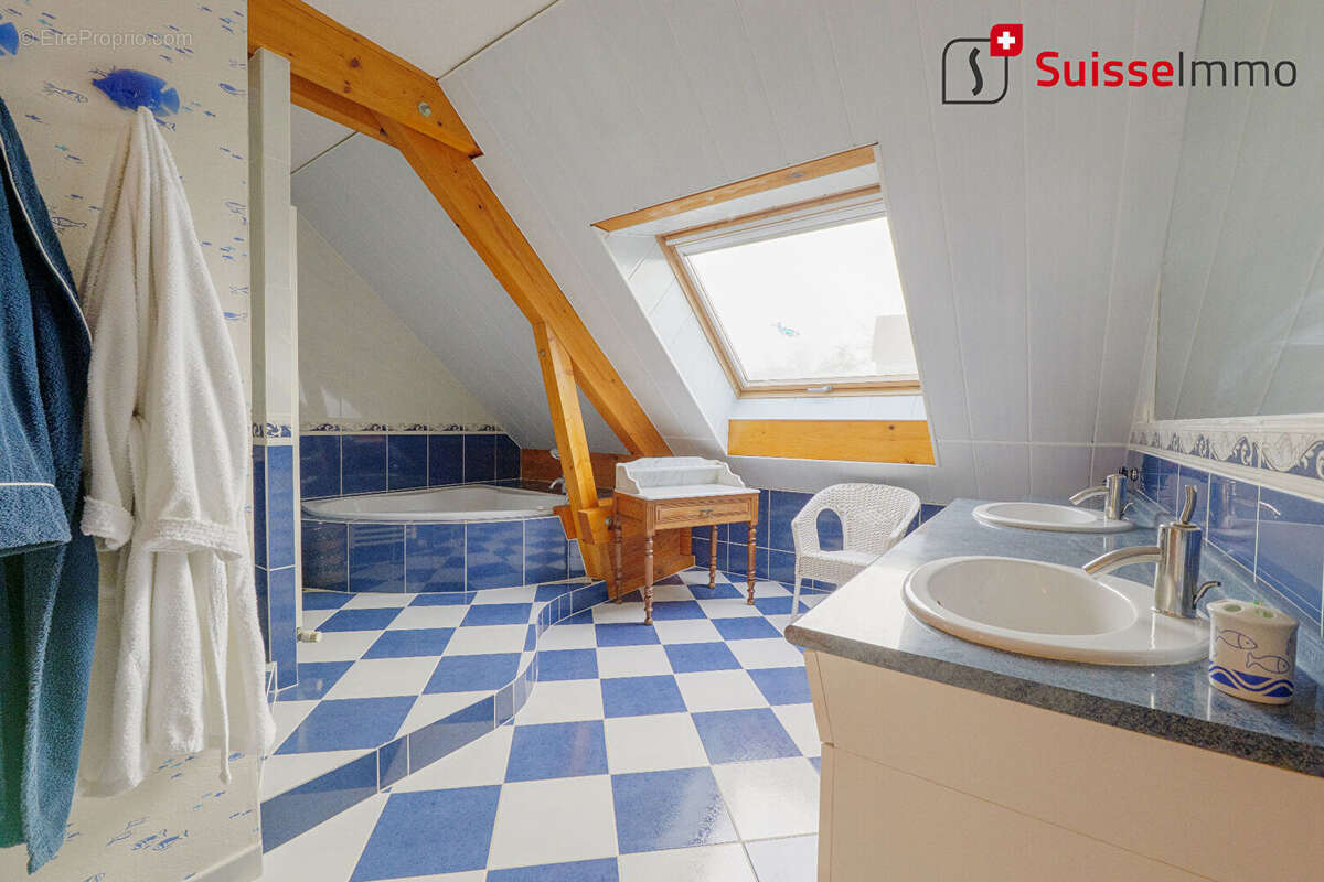 Maison L'Isle Sur Le Doubs 200 m2 - photo 8