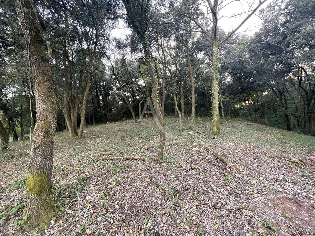 Terrain à LONGEVILLE-SUR-MER