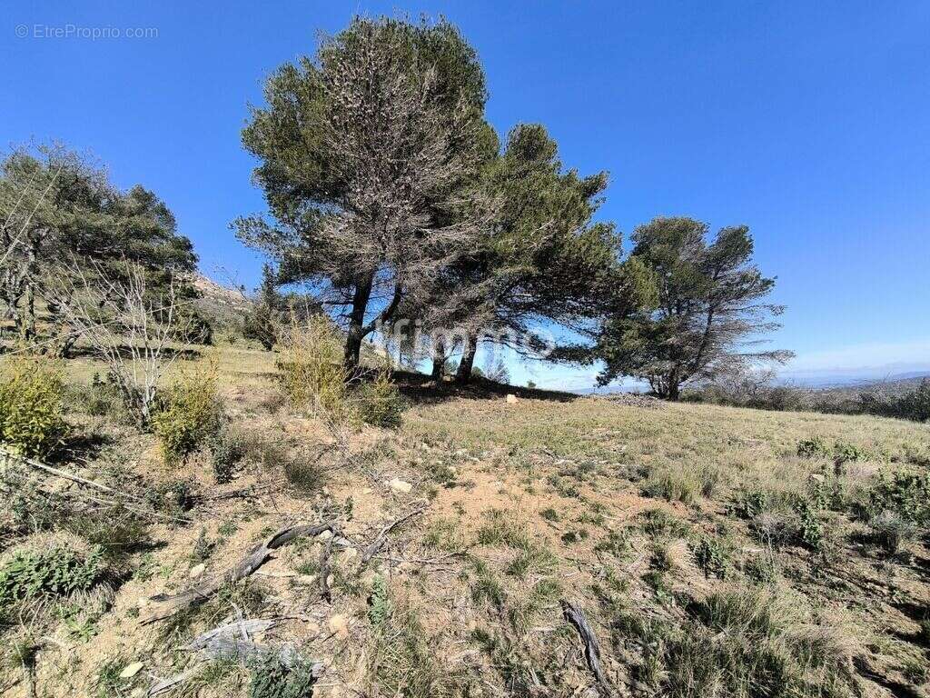 Terrain à MOUX