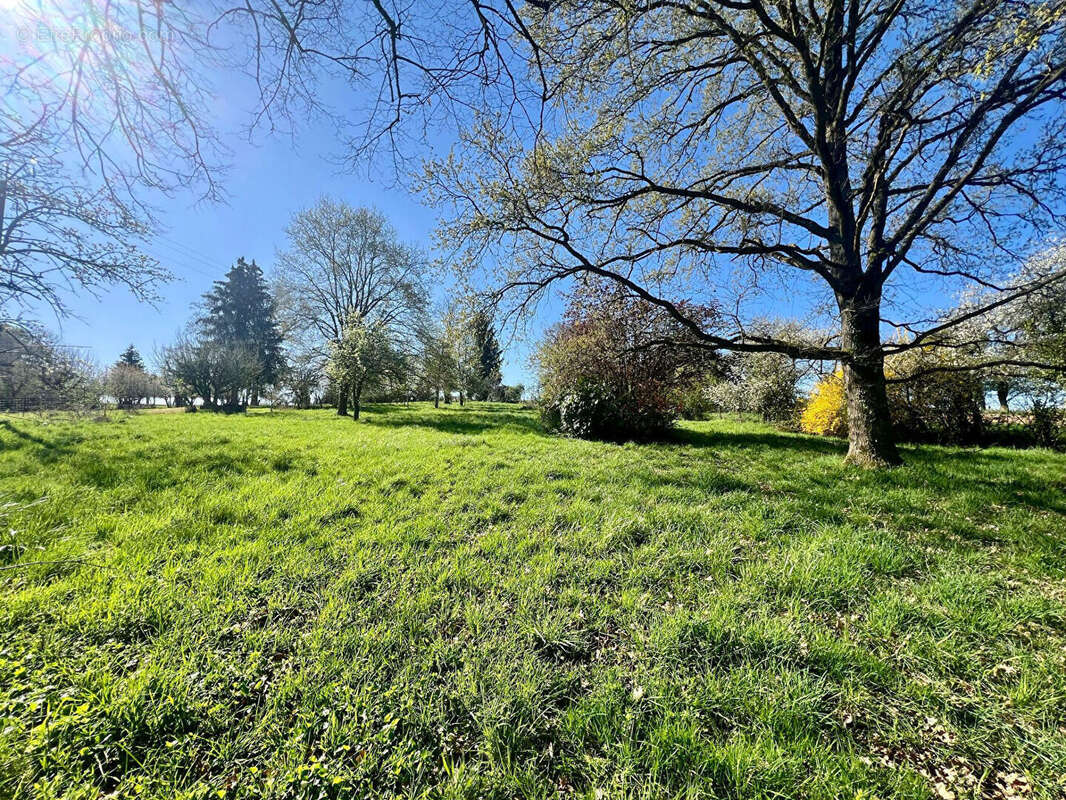 Maison à LA FERTE-SOUS-JOUARRE