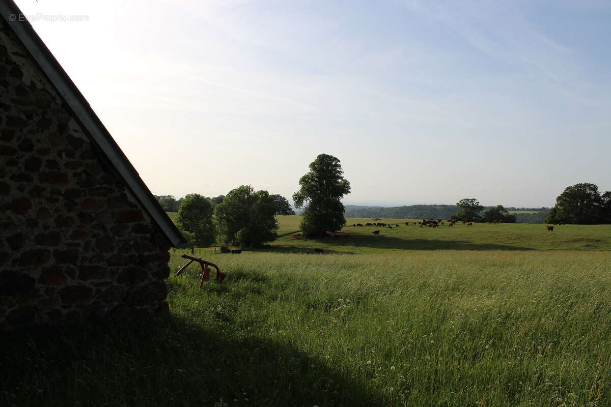 Maison à ANGLARDS-DE-SALERS