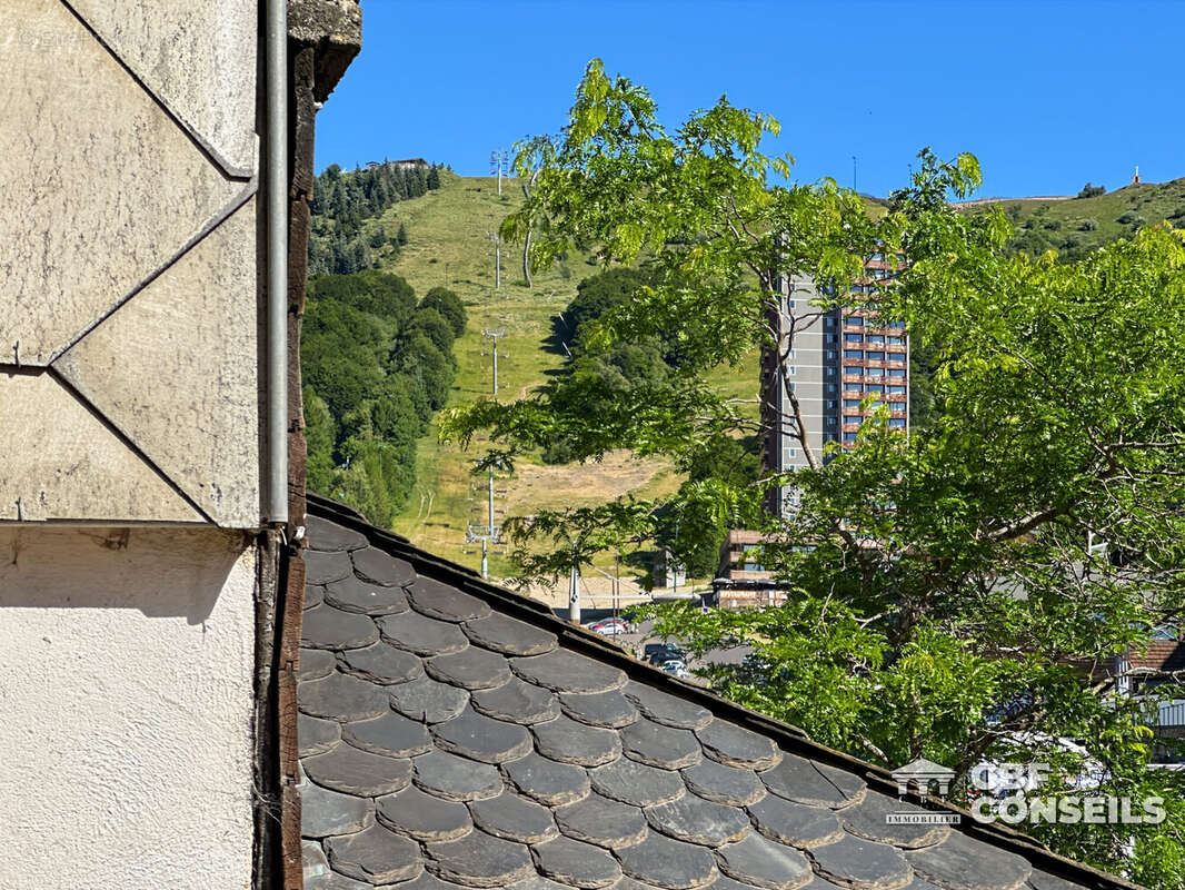 Appartement 18 m² à Besse-Et-Saint-Anastaise  - photo 8