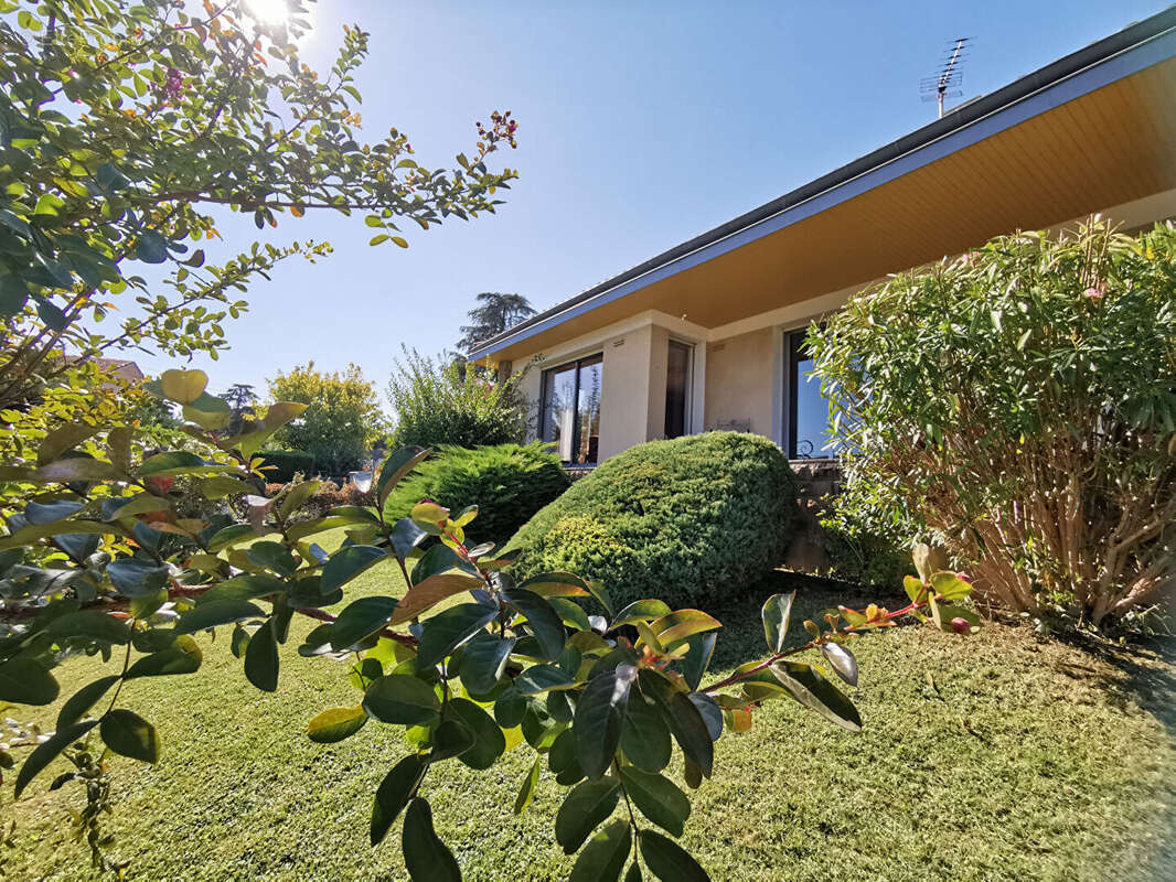 Maison à MILLAU