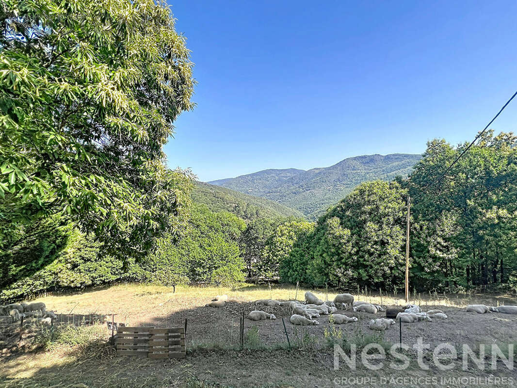 Mas cévenol de caractère avec 22 hectares, pierre sèche et vues panoramiques ? Saint Germain de Calberte - photo 5