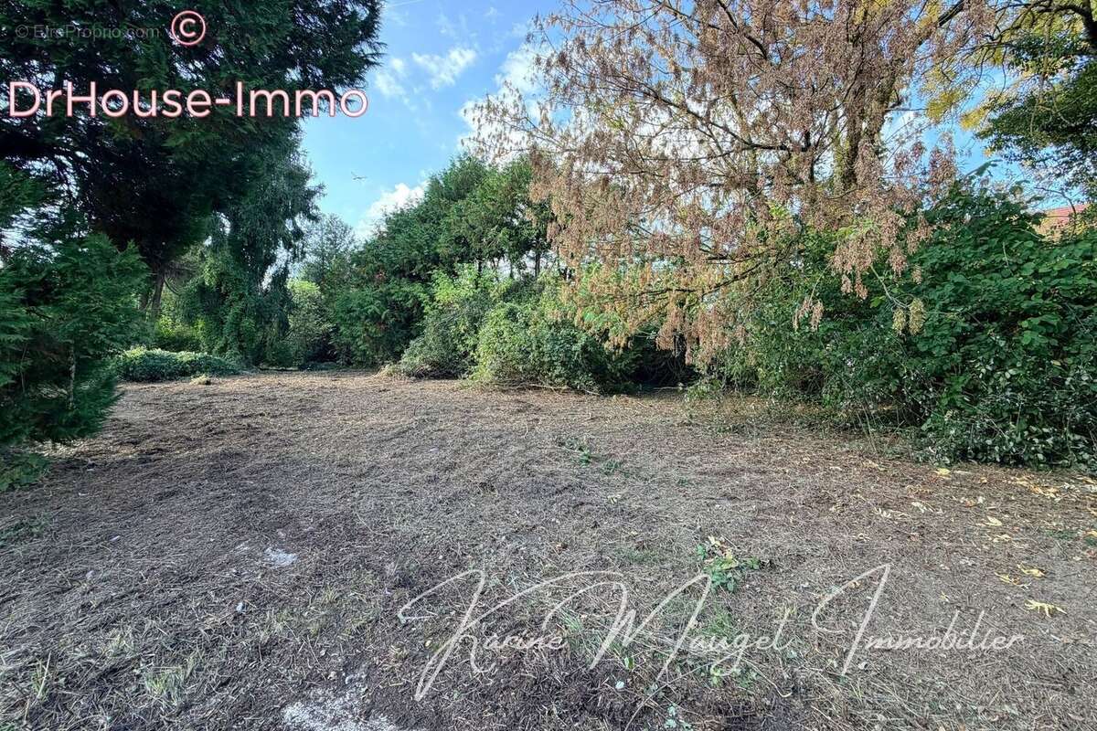 Terrain à LUMIGNY-NESLES-ORMEAUX