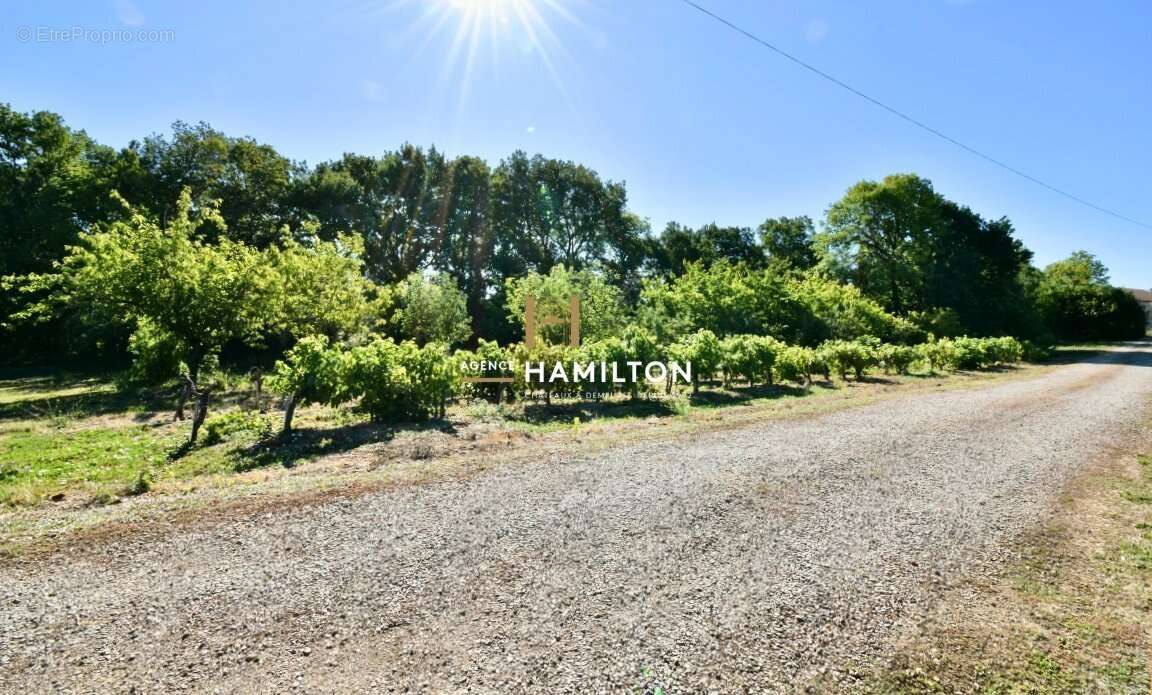 Maison à VILLENEUVE-SUR-VERE