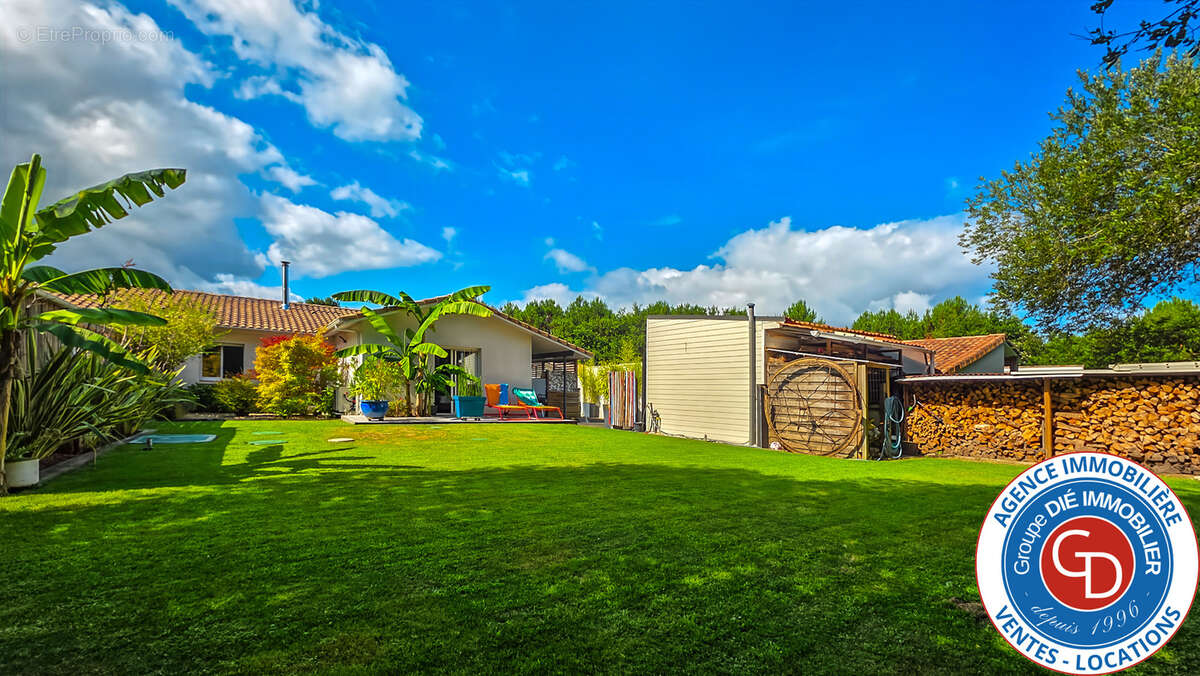 Villa rénovée 2 chambres (possiblité 3) sur terrain de 440 m2 - photo 2