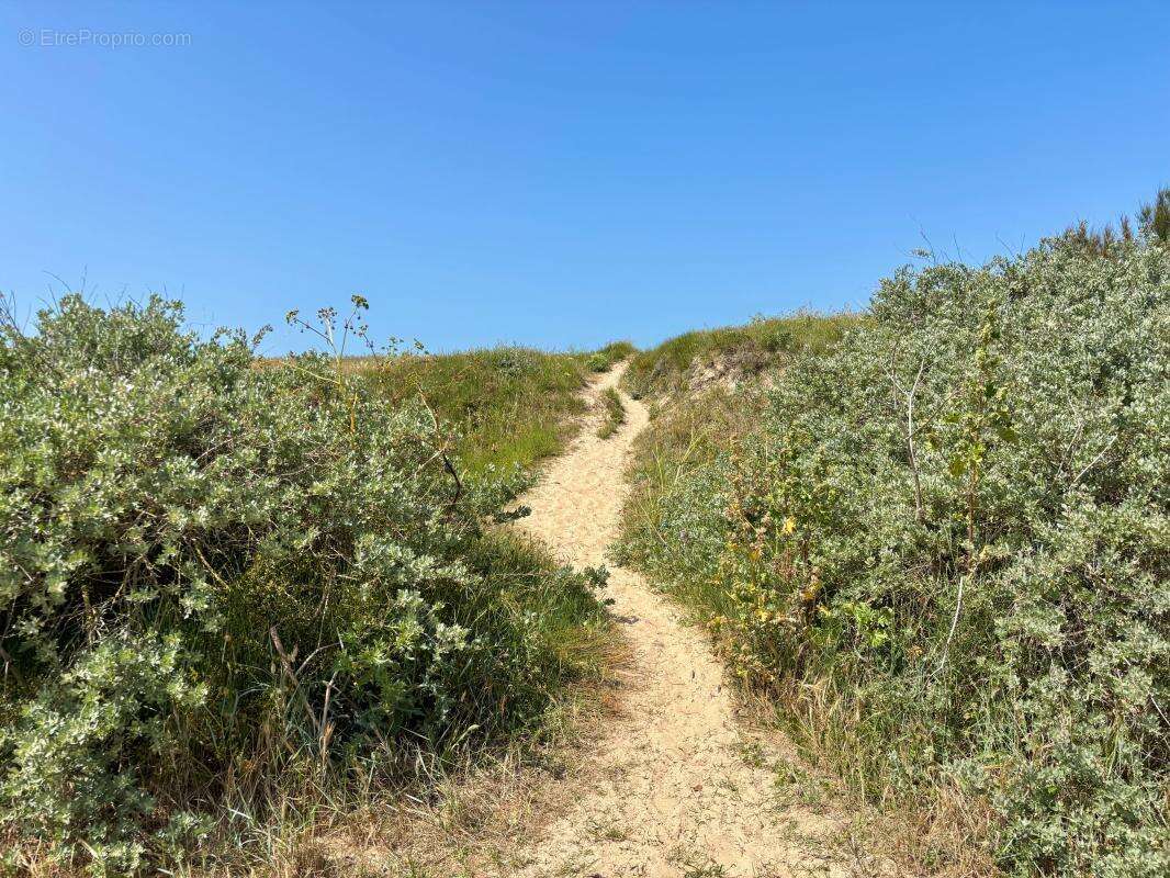 Maison bord de plage - photo 10