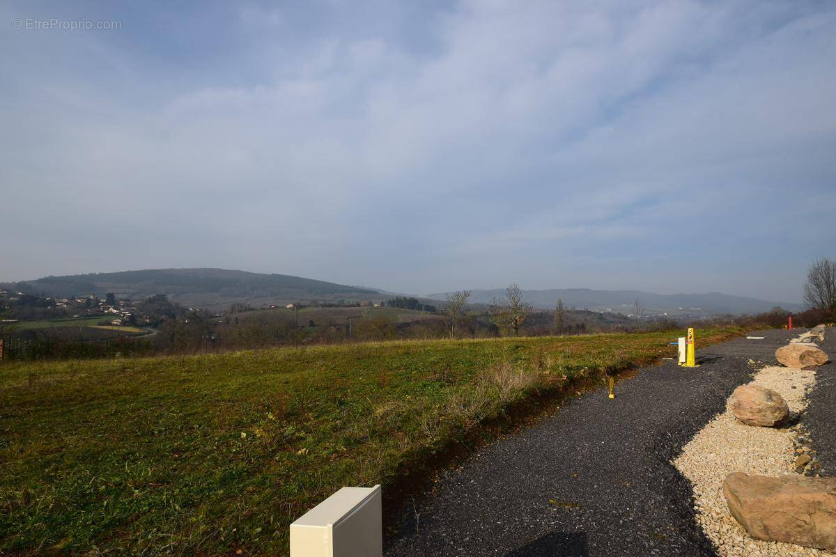 Terrain à BERZE-LA-VILLE