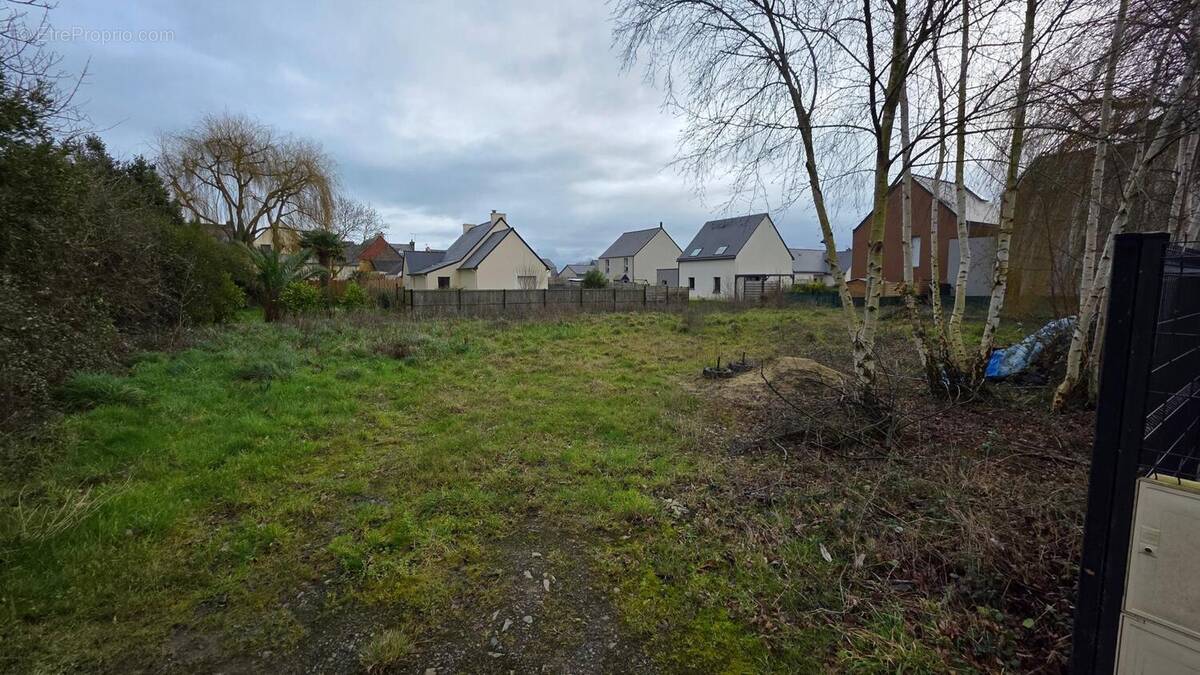 Photo 1 - Terrain à CANCALE