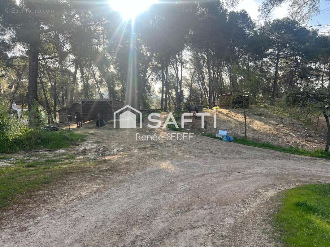 Photo 3 - Commerce à MOUGINS