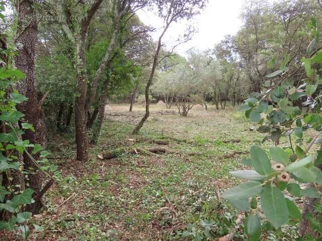 Terrain à UZES