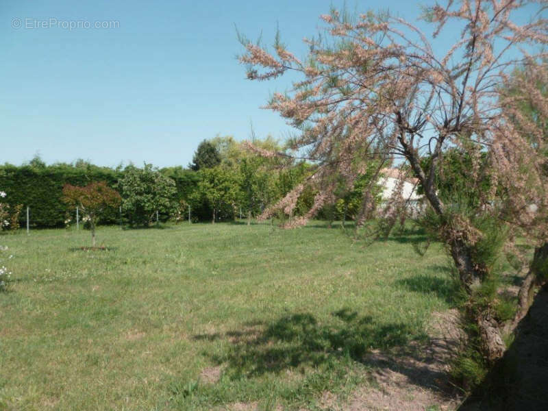 Terrain à DOLUS-D&#039;OLERON