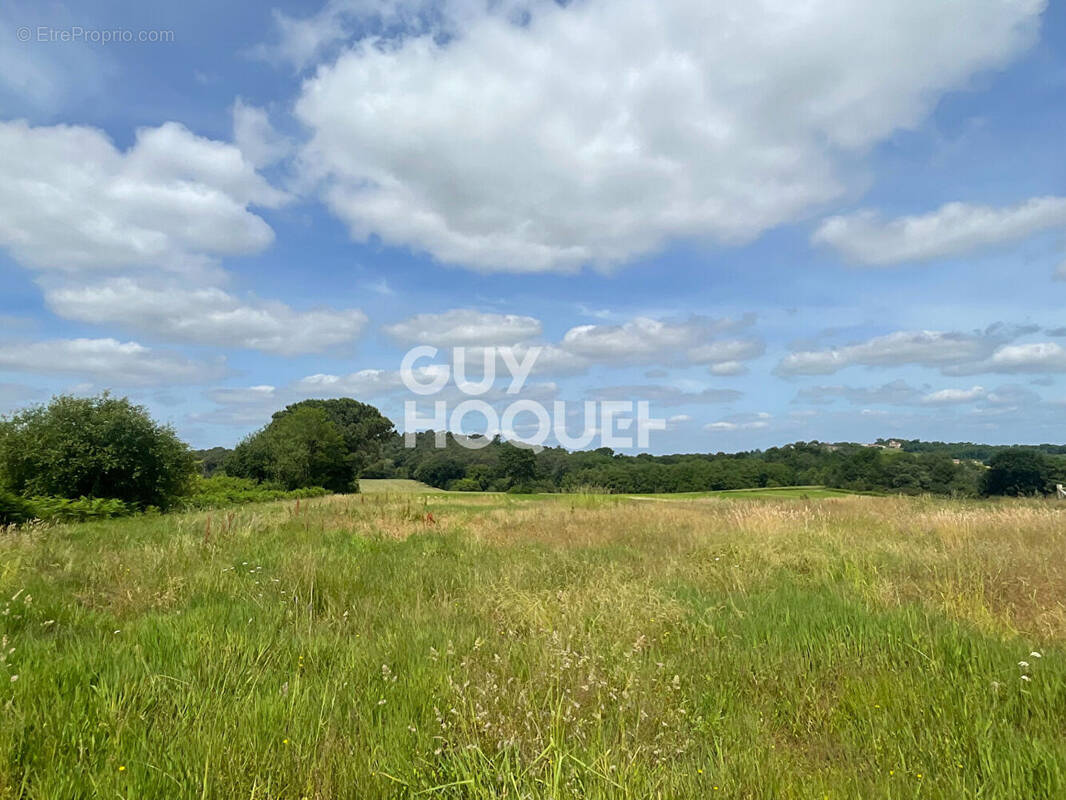 Terrain à SAINT-CRICQ-CHALOSSE