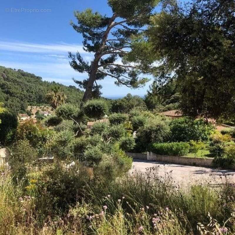 Photo 5 - Terrain à LA VALETTE-DU-VAR