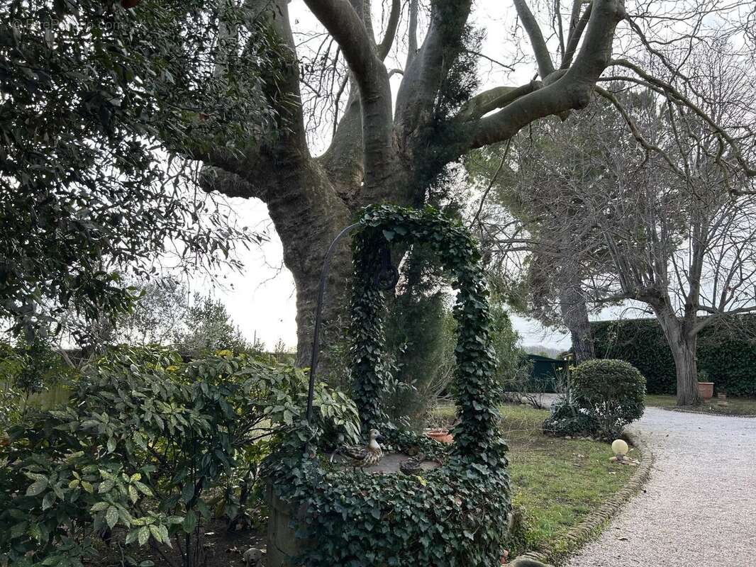 Maison à ARLES