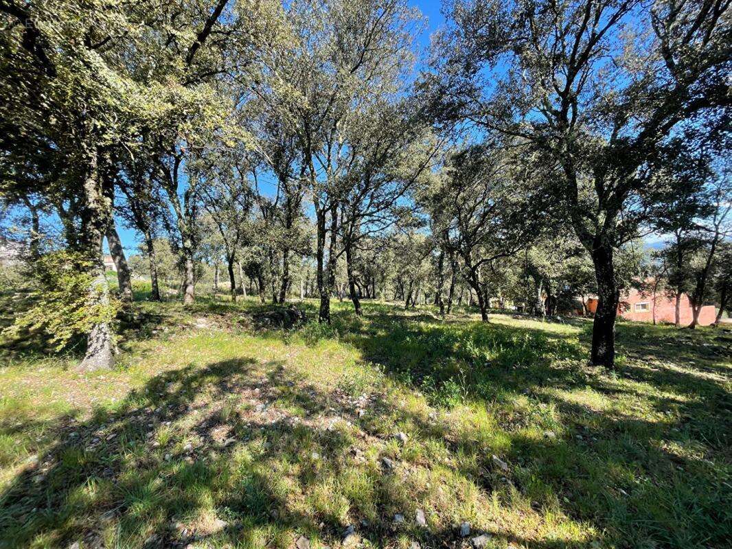 Terrain à LE THORONET