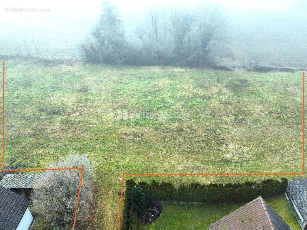 Terrain à HOCHSTATT