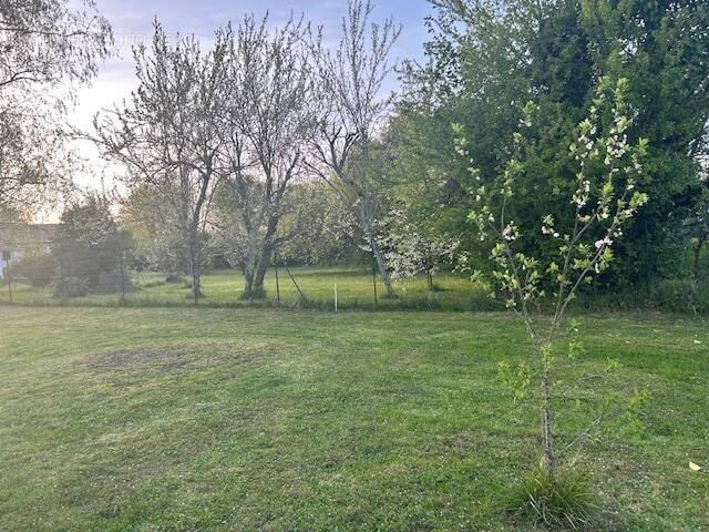 Terrain à MARTILLAC