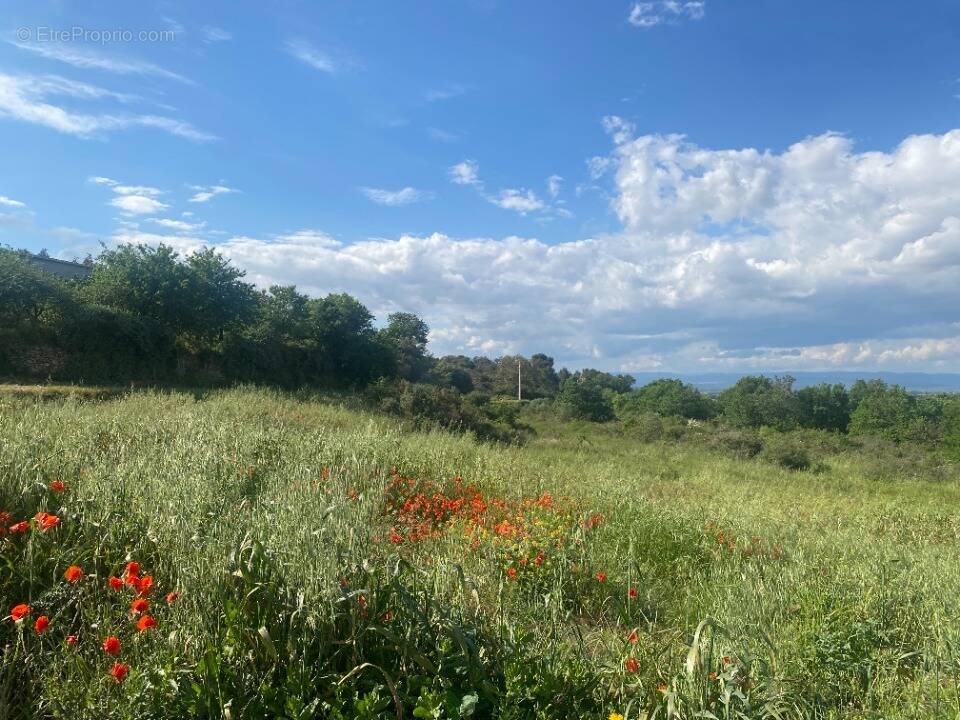 Terrain à BOUTENAC