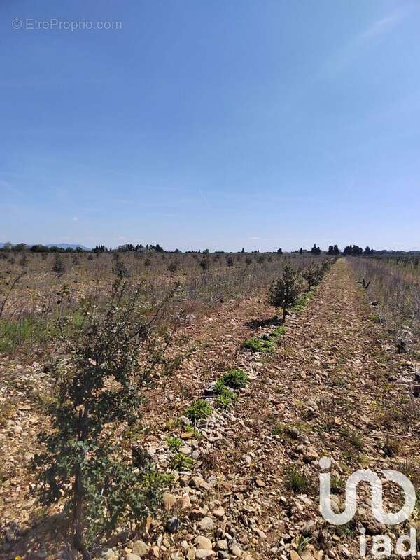 Photo 5 - Terrain à ROCHEGUDE