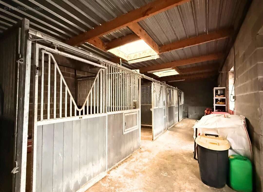 Maison à MILLONFOSSE