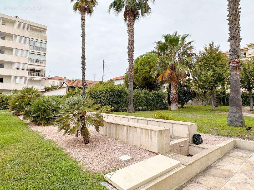  Appartement 2P, 36 m² , terrasse, Palm Beach, à 100 m de la plage (Cannes)  - photo 3