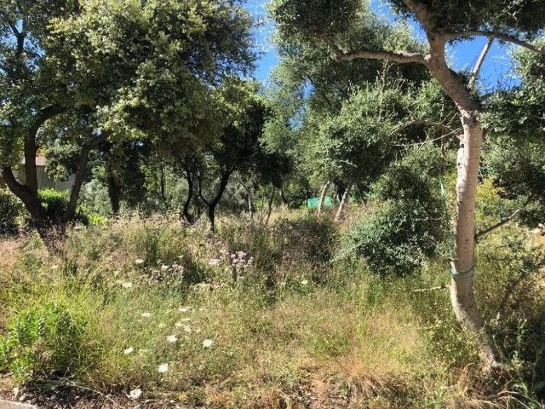 Photo 7 - Terrain à LA VALETTE-DU-VAR