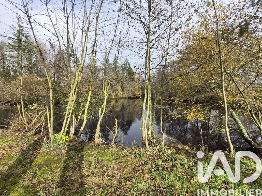 Photo 3 - Terrain à NIEUL-LE-DOLENT