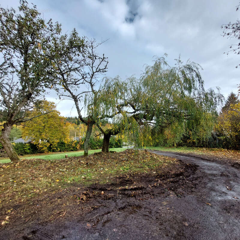 Maison à SAINT-AGREVE