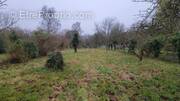 Terrain à POMMEUSE