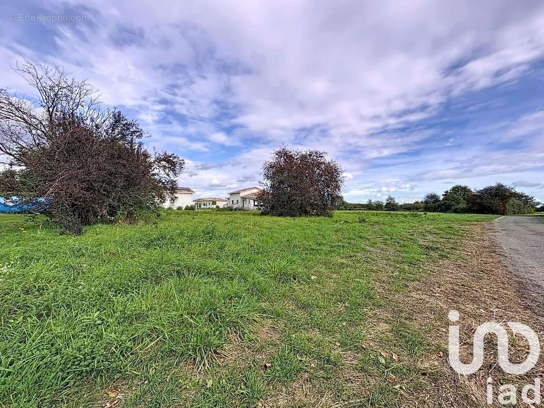 Photo 3 - Terrain à PEYSSIES