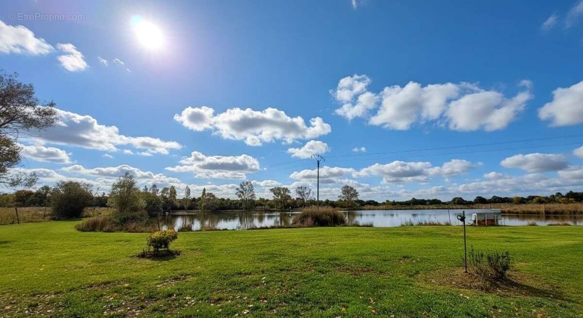 Terrain à SAINT-MICHEL-EN-BRENNE
