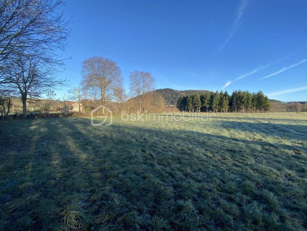 Terrain à SAINT-PAULIEN