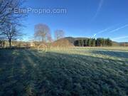 Terrain à SAINT-PAULIEN