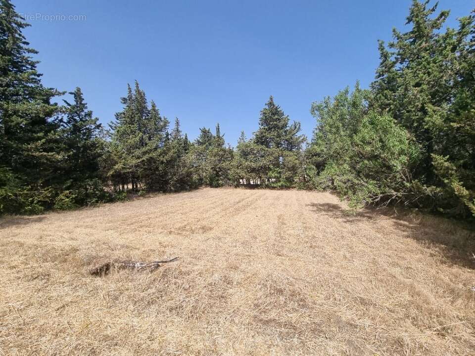 Terrain 710 m² à Grillon  - photo 1