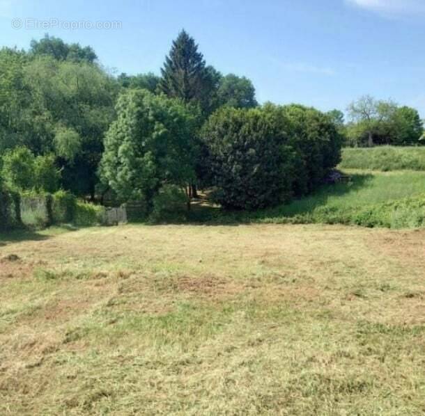 Terrain à BURIE