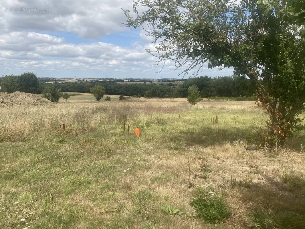 Terrain à SAINT-ORENS-DE-GAMEVILLE