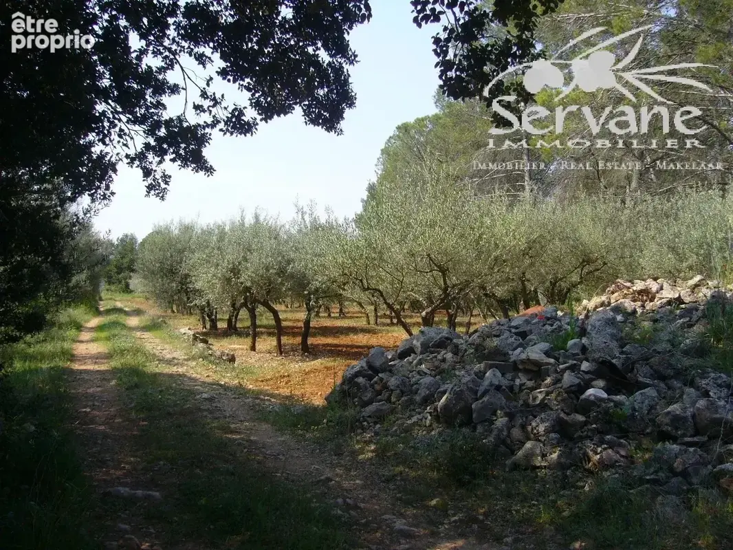 Charmante maison montfort sur argens - photo 14