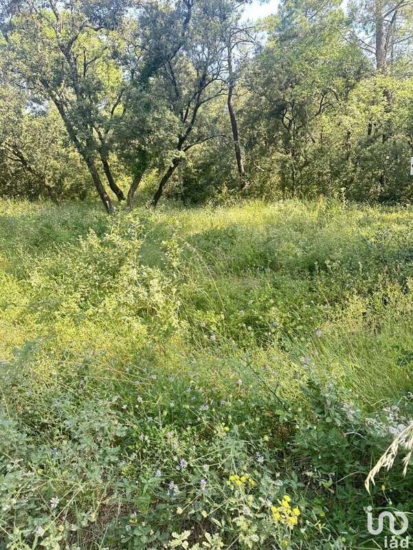 Photo 8 - Terrain à SUZE-LA-ROUSSE