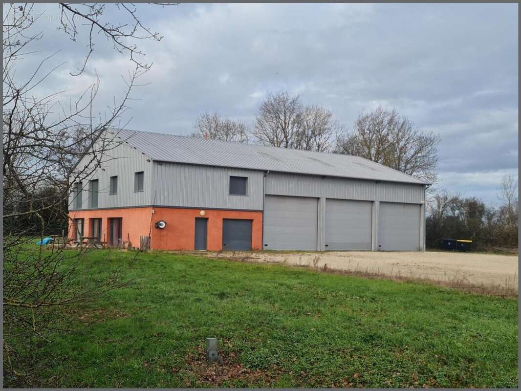 Commerce 469 m² à Chatillon-Sur-Chalaronne  - photo 3