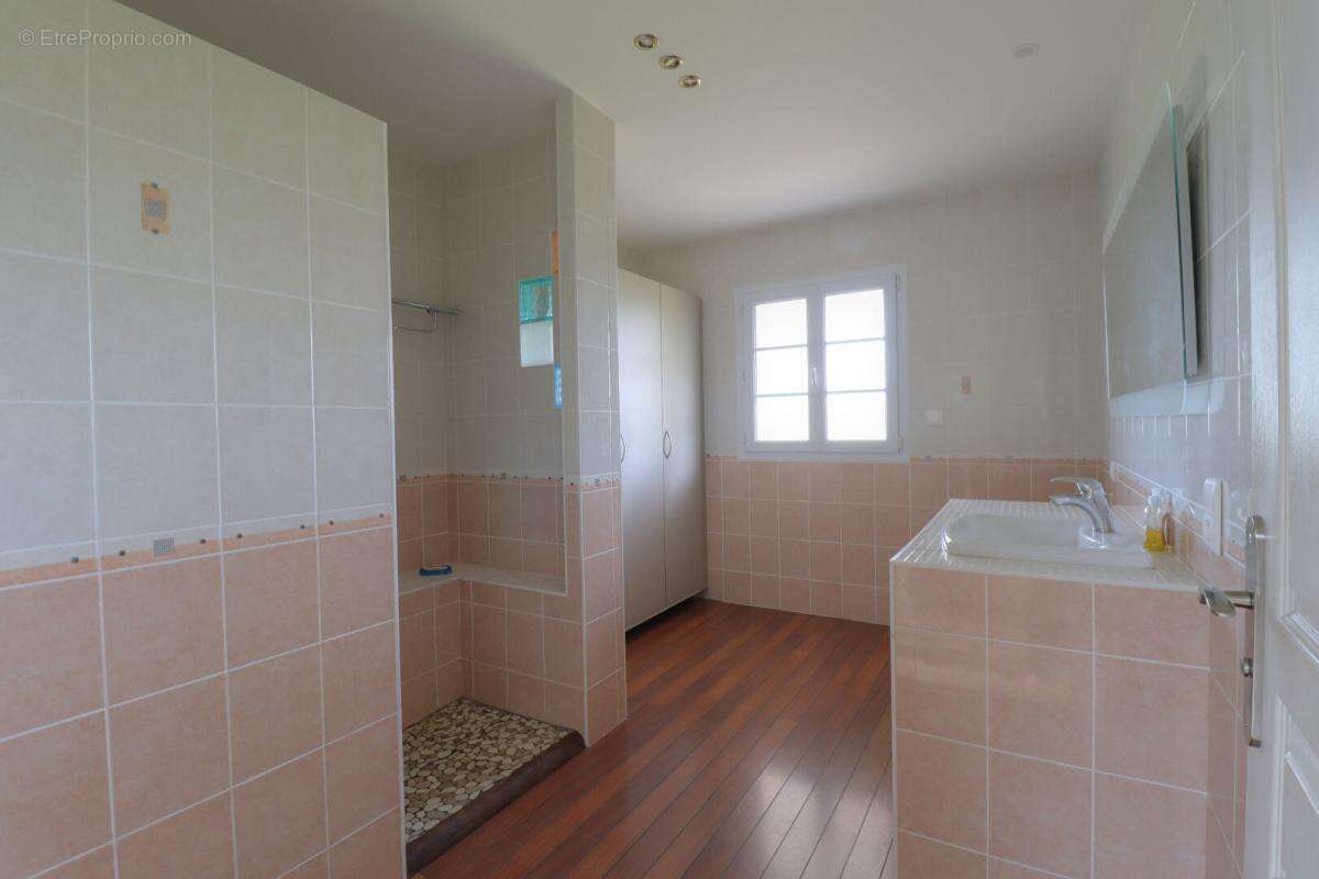 Maison à FAYE-SUR-ARDIN