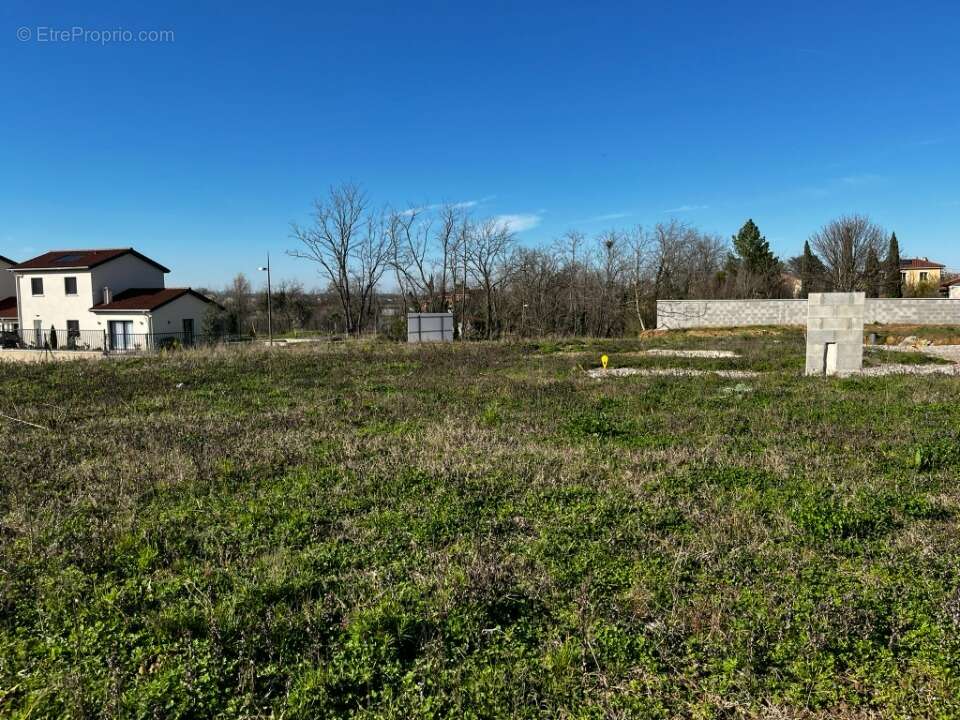 Terrain 558 m² à Solaize  - photo 4