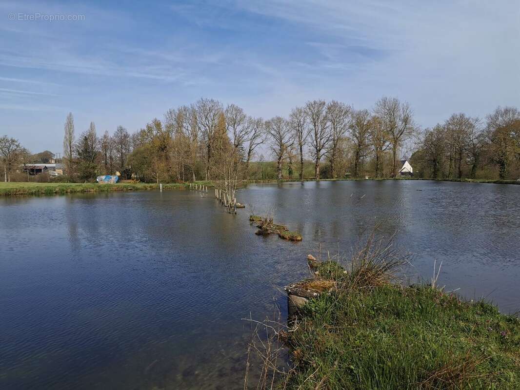 Terrain à CAULNES