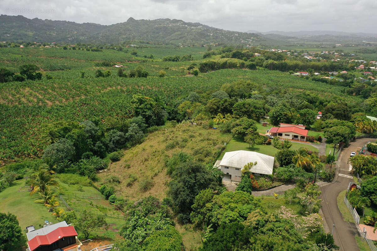 Terrain à LE LAMENTIN