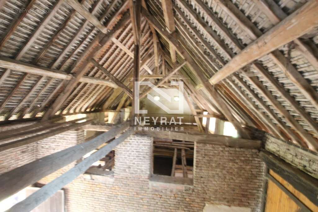 Ferme bressane - photo 22