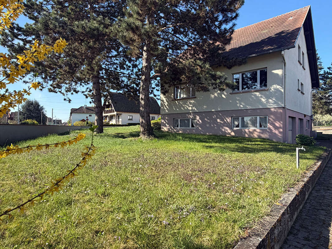 Krautergersheim - Maison familiale de caractère -135 m² sur 13 ares - photo 3