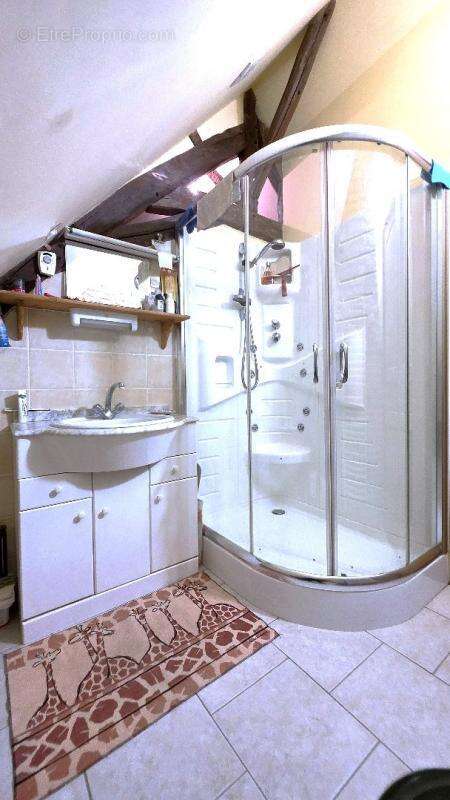 Maison à MEZIERES-EN-BRENNE