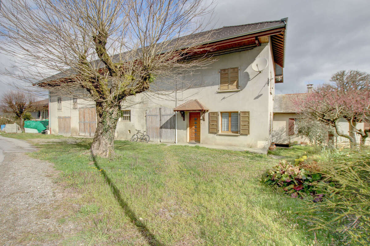 Maison à HAUTEVILLE-SUR-FIER